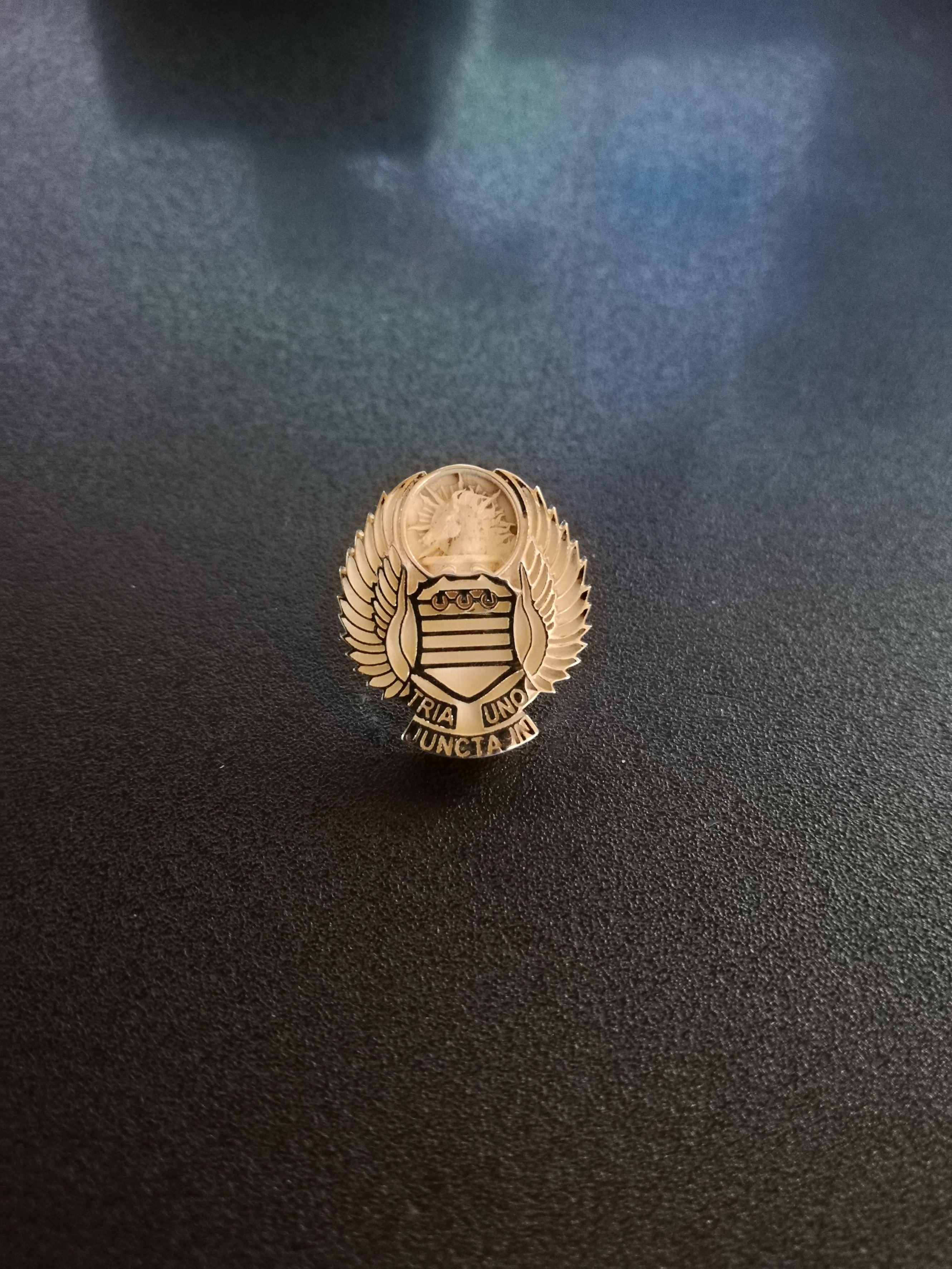 Old Greys' Pin